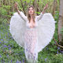 Bluebell Angel