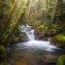 A creek near Mount Hood Oregon