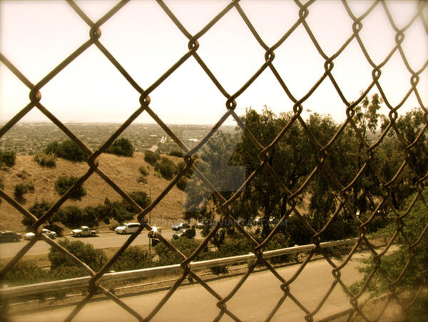 View Over Fence view through fence by aprakash5 on DeviantArt