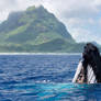 Humpback whale in front of Bora Bora