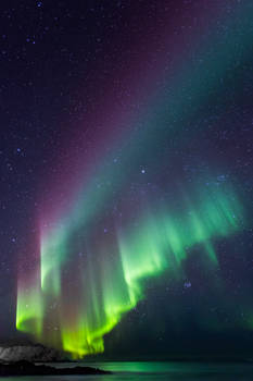 Aurora gone wild