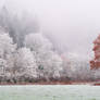 Frosty landscape