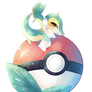 (FA) Shiny Snivy