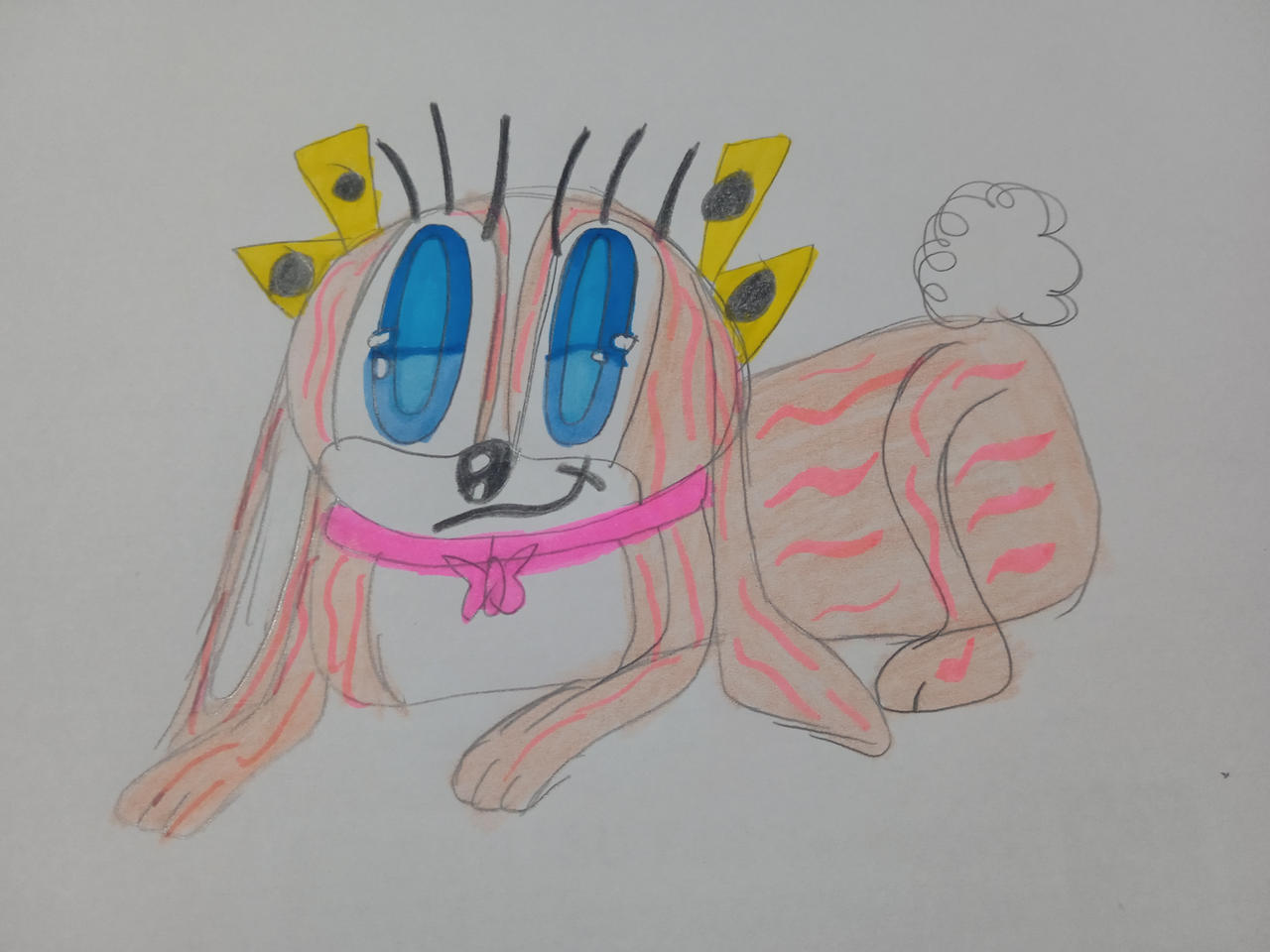 Rosa The Real Rabbit by bystellathelabrador1 on DeviantArt