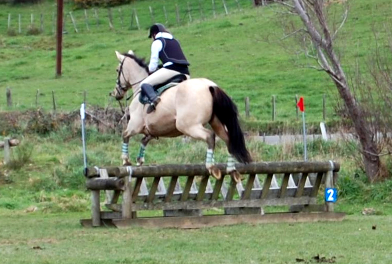 Paroa-Open XC