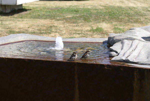 spluttered by Powerglide on DeviantArt