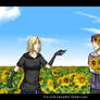 AT-field of sunflowers