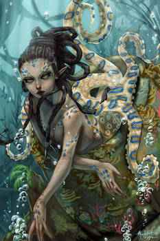 Her Cozy Pot (Colors)