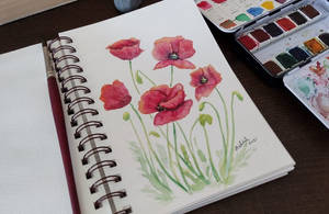 Poppies