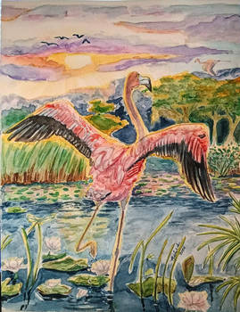 Flamingo