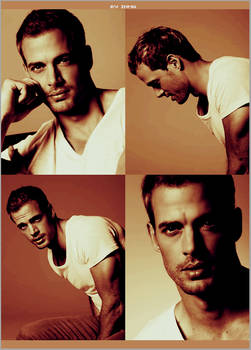 William Levy 2nd Edition