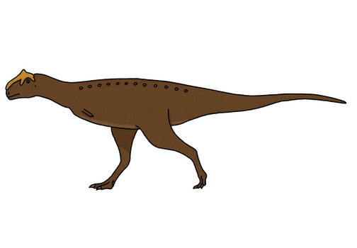 Abelisaurus comahuensis