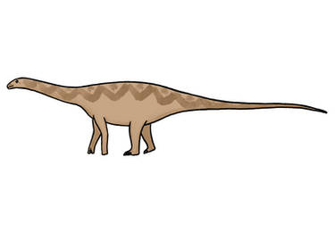 Algoasaurus bauri