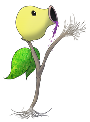 Bellsprout