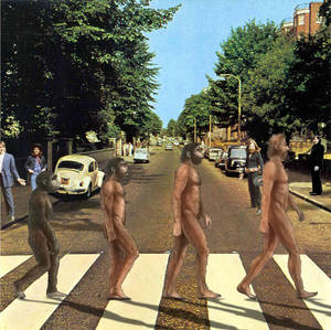 Evolution Abbey Road