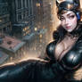 Mistress of Disguise: Catwoman's Intriguing Person