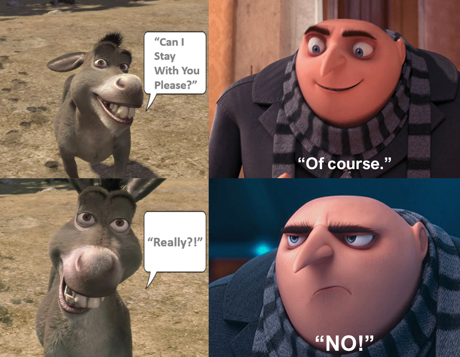 Gru says The Witch has a Face like a Donkey by Disneyfan3000 on