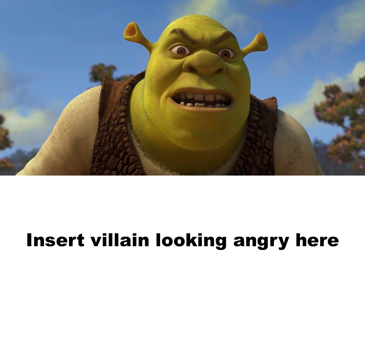 17 Shrek ideas  shrek, shrek memes, reaction pictures