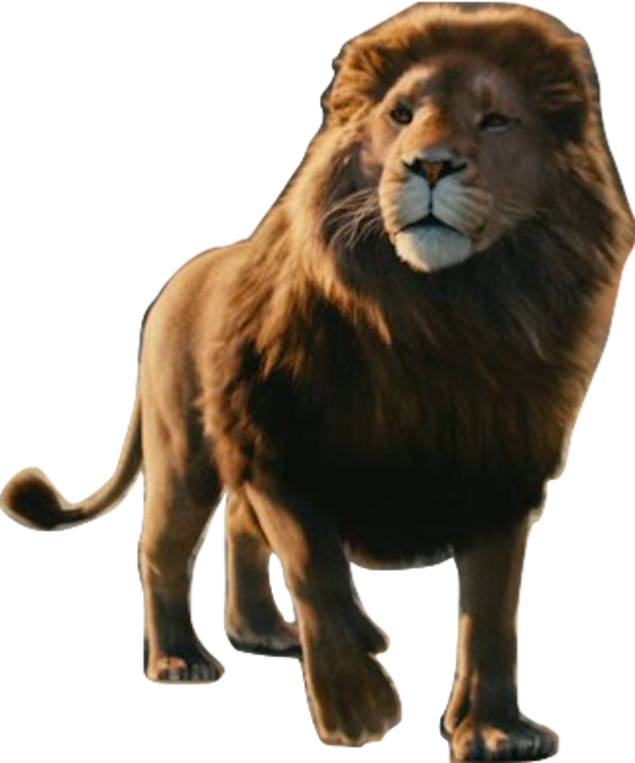 Aslan The Chronicles Of Narnia The Lion PNG, Clipart, Aslan