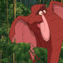 Tantor