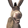 Donkey Grinning