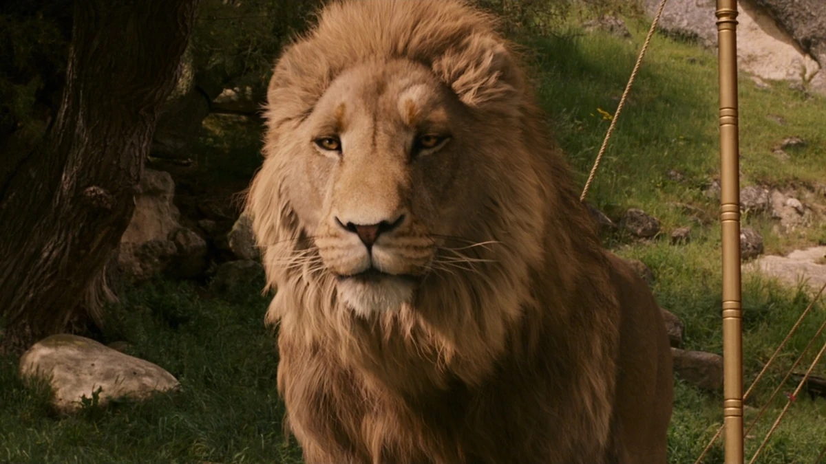 Download Aslan Lion Chronicles of Narnia, Aslan, A lion