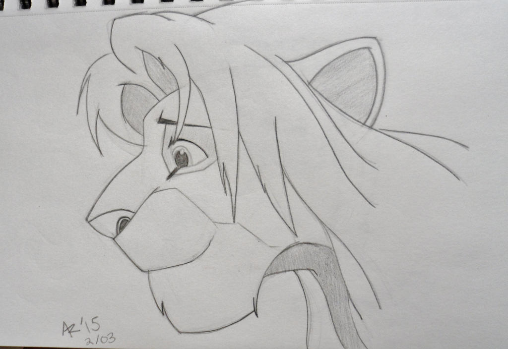 Simba Lion King Profile by Blunt-tip2HB on DeviantArt