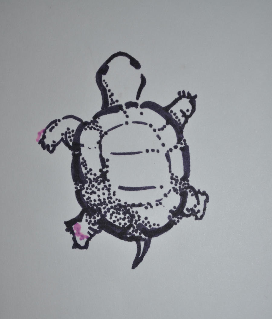 Purple Turtle