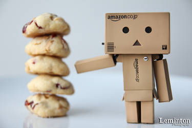 Danbo - Cranberry cookies