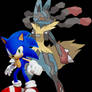 Sonic and Lucario 01