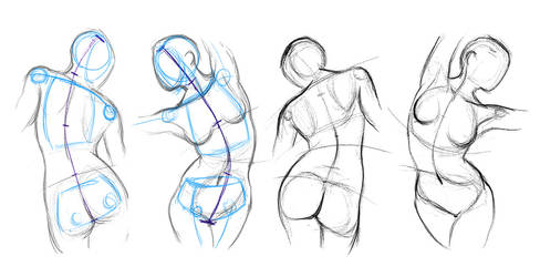 understanding anatomy (female torso study 1)