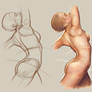 understanding anatomy (female torso study 2)