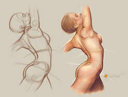 understanding anatomy (female torso study 2)