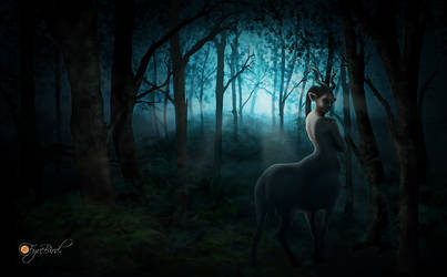 Centaur in the Woods