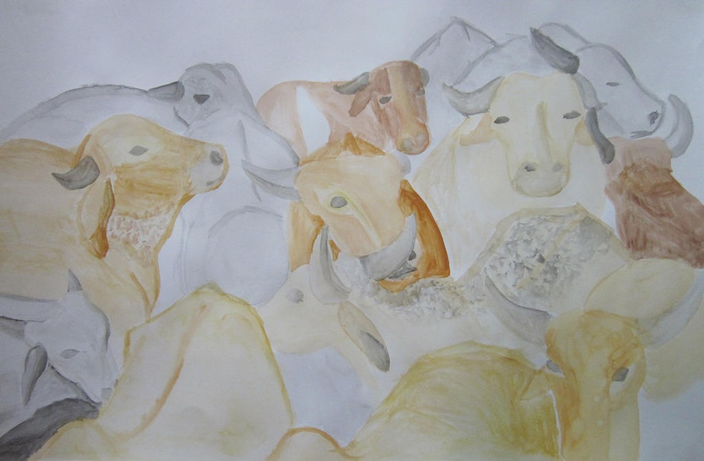 Watercolor Herd of Oxen