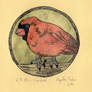 Cardinal - Printing + Watercolor