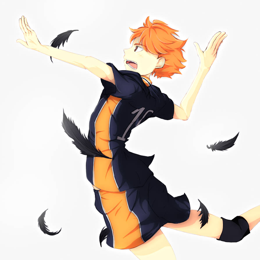 Hinata Shoyo by Hattamaru on DeviantArt
