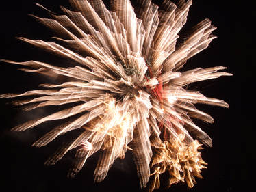 Firework