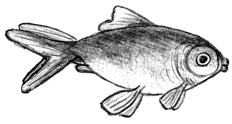 Stendhal Fish Allowish the Fish by StendhalsSyndrome on DeviantArt