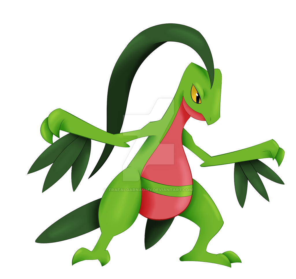 Groveyle Grovyle redraw by TrafalgarNaomy on DeviantArt