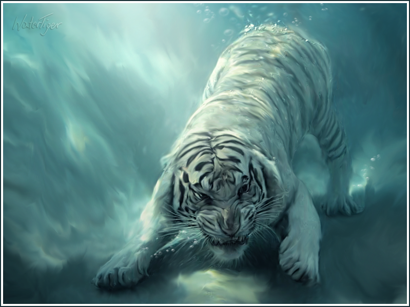 Tiger by GrafArtClub