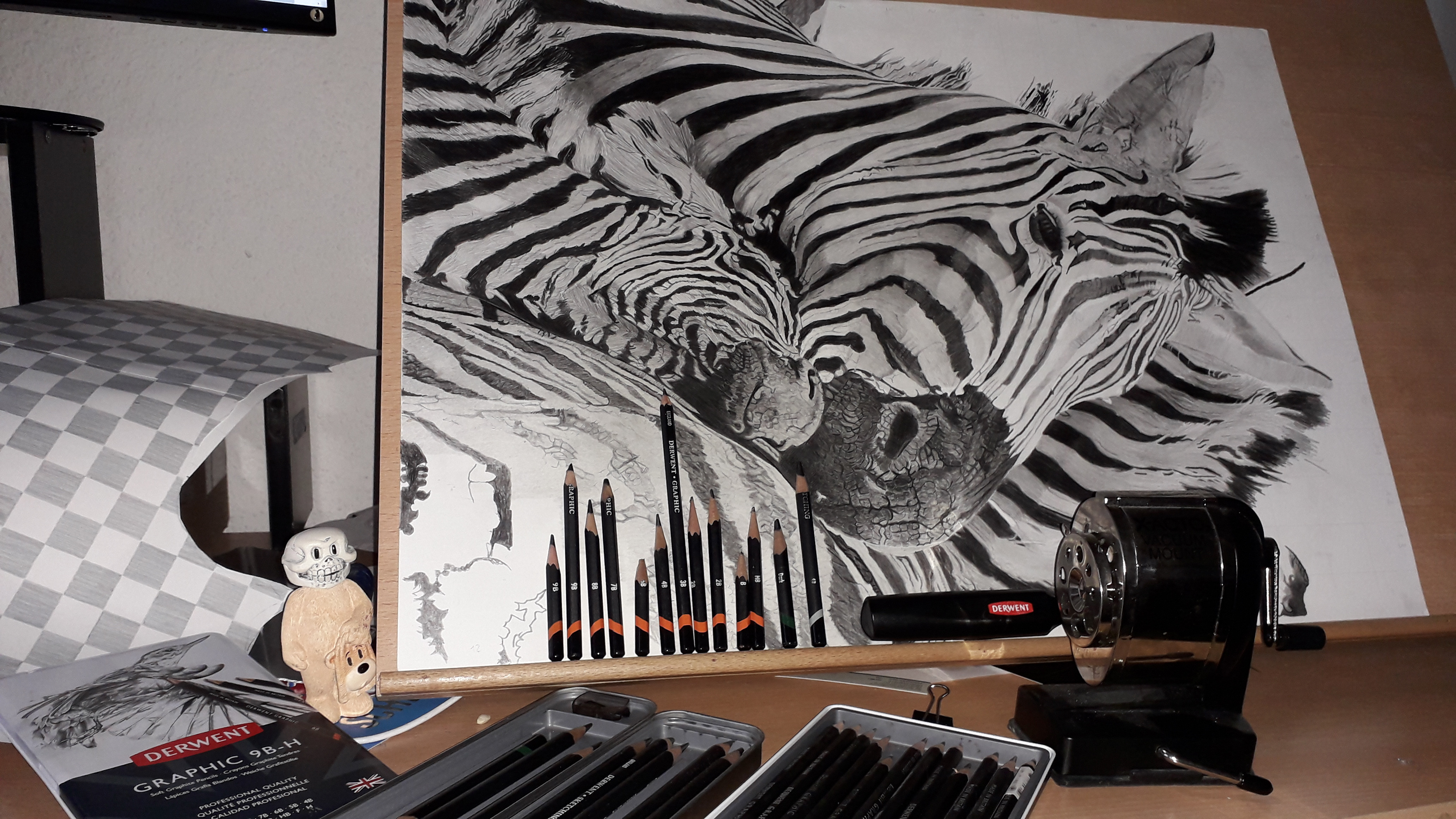 sunday zebras