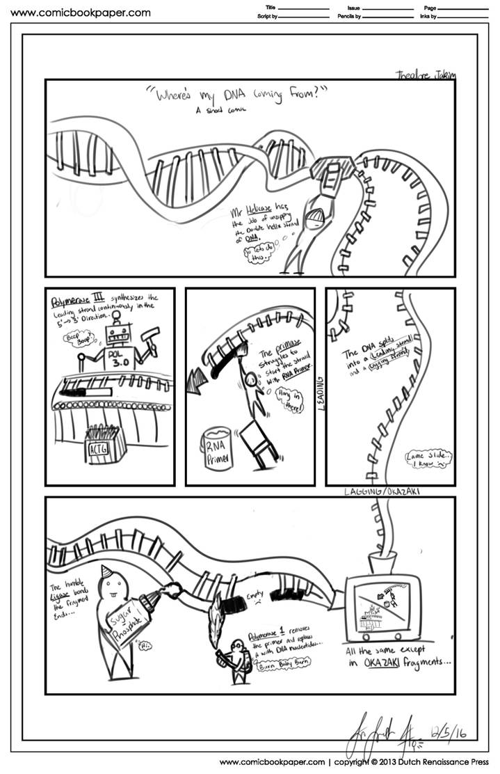 DNA Replication Comic Strip by CoFriendo on DeviantArt