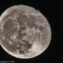 The moon -