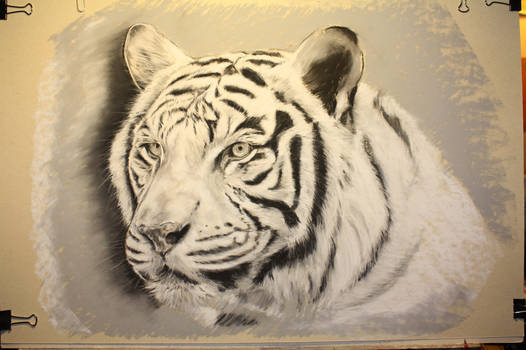 Pastel Tiger WIP 3