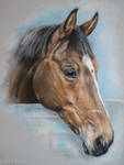 Pastel Horse by BTBArtist