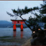 Good Evening Miyajima.