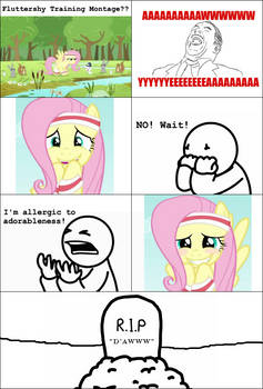 FiM - Fluttershy Training Mont-Hnnngh