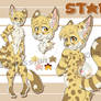 Star Ref Sheet