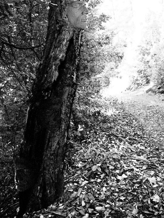 Masked Trees by MariposaLuna on DeviantArt